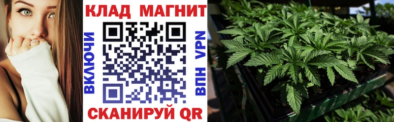 Сколько стоит Дмитровск Канабис СОЛЬ ГАШИШ Cocaine