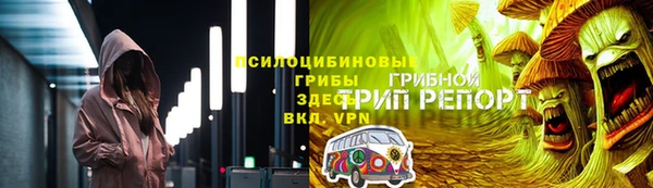 винт Гусь-Хрустальный
