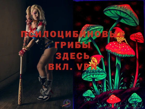 ECSTASY Майский