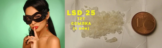 ECSTASY Майский