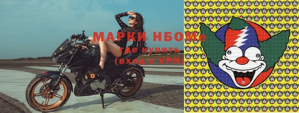 тгк Дмитриев